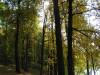 PICT0055.JPG