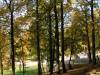PICT0058.JPG