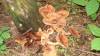 __________047.jpg