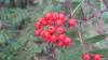 __________049.jpg