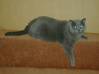 DSC00923.JPG
