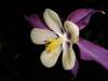 DSC00399.jpg