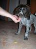 DSCN1153.jpg
