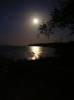 DSCN1675.jpg