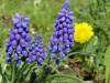   DSC04891.jpg