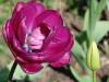   DSC04897.jpg