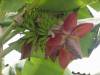   DSC08110.jpg