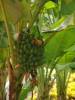   DSC08112.jpg