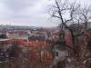   DSC08711.jpg