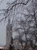   DSC08859.jpg