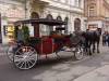   DSC08953.jpg
