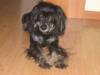 clip_image002.jpg