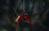Файл: butterfly2_web.jpg
Объем: 48КБ
Размеры: 722x462
Дата: Июль 24, 2006 butterfly2_web.jpg