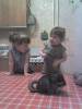 17-03-07_1921.jpg