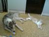 DSC00102.JPG