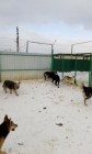 IMG_20180225_155032.jpg