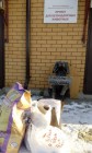 IMG_20181201_114127.jpg