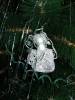 DSCN0760.JPG