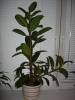 DSCN5697.JPG