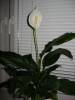 DSCN5704.JPG