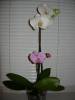 DSCN5732.JPG