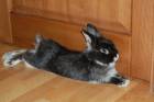 resized_DSC_0470.JPG