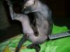 DSC00464.JPG