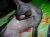 DSC00467.JPG