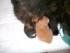 DSCN1434.jpg