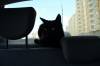 P1030100.JPG