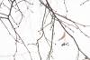 m5687194043.jpg