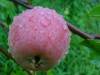 DSC00264_1.jpg