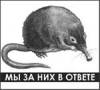1184760028_vyhuhol.jpg