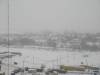 DSC00679.JPG