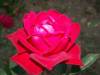7._2007_077.JPG