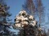 PICT0015.JPG