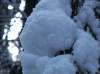PICT0048.JPG