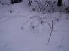 PICT0075.JPG