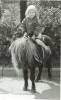 zoo2-2.jpg