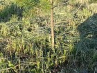 20140620_202107.jpg