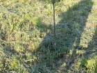 20140620_202122.jpg