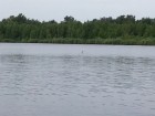 Файл: 20140702_125242.jpg
Объем: 213КБ
Размеры: 1024x768
Дата: Июль 05, 2014 20140702_125242.jpg