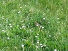 20140705_1239461.jpg