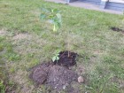 20140926_154833.jpg