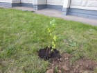 20140926_154842.jpg
