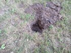 20140926_154922.jpg