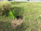 20140926_155222.jpg