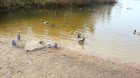 20141009_130017_10237.jpg