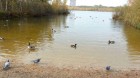20141009_130017_15869.jpg