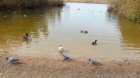 20141009_130017_22568.jpg
